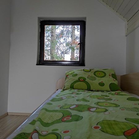 Vila Hajdi Planina Tara บายินา บาชตา ภายนอก รูปภาพ
