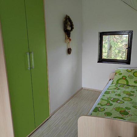 Vila Hajdi Planina Tara บายินา บาชตา ภายนอก รูปภาพ