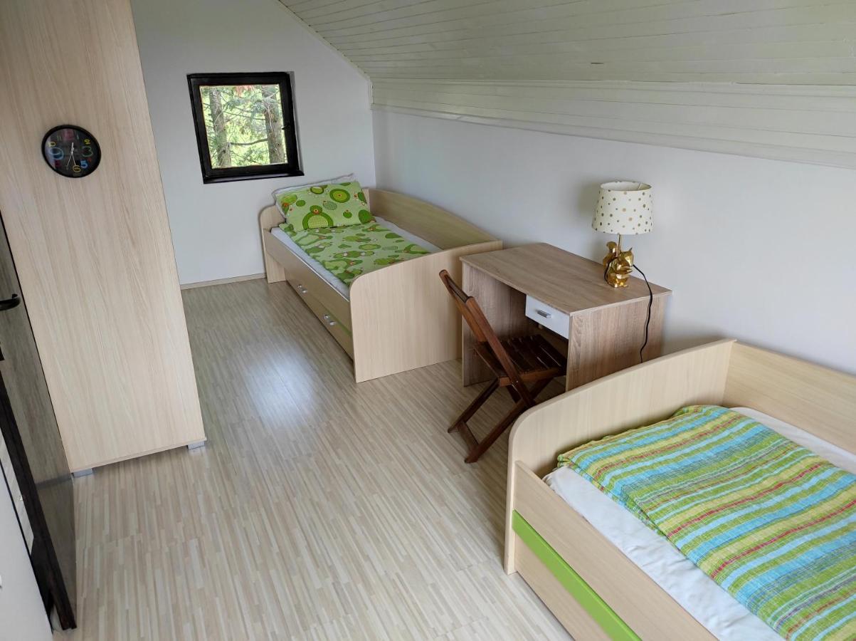 Vila Hajdi Planina Tara บายินา บาชตา ภายนอก รูปภาพ