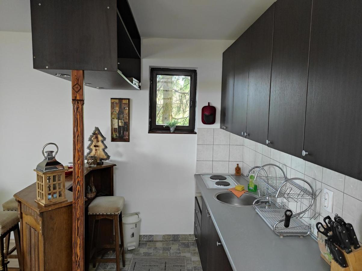 Vila Hajdi Planina Tara บายินา บาชตา ภายนอก รูปภาพ
