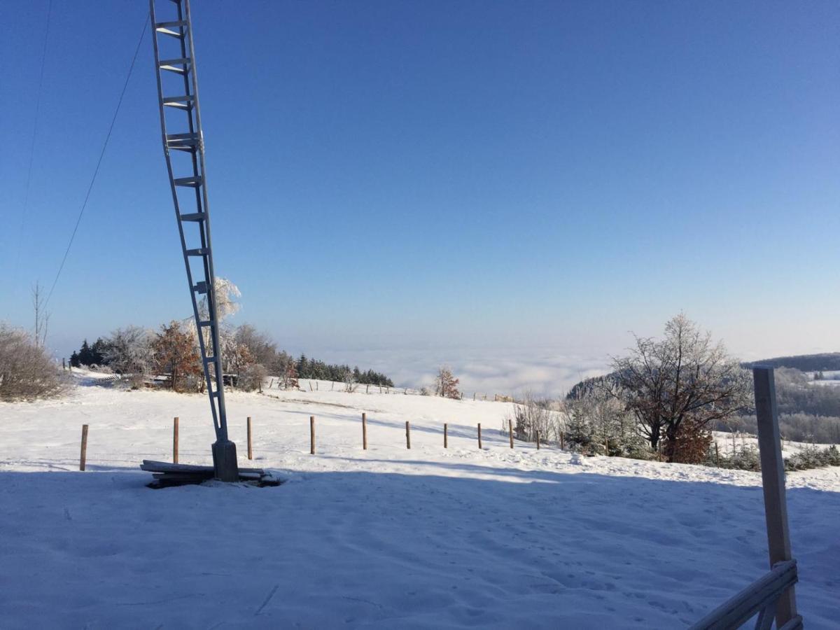 Vila Hajdi Planina Tara บายินา บาชตา ภายนอก รูปภาพ